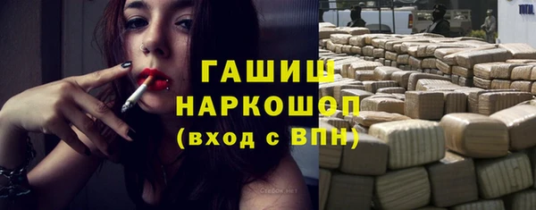 гашик Алексеевка