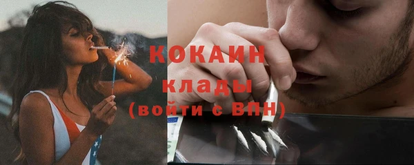 прущие грибы Новодвинск