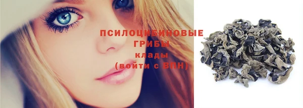 гашик Алексеевка