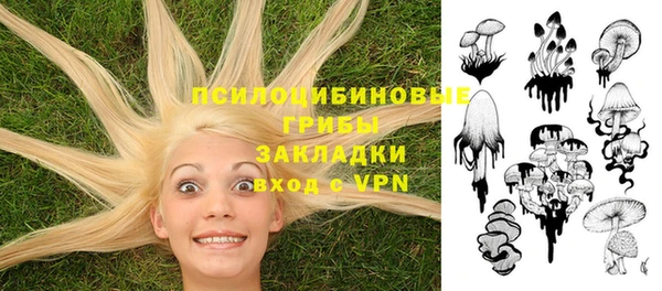 синтетический гашиш Алексин