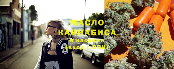 гашик Алексеевка