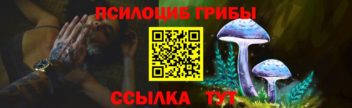 Раменское  Галлюциногенные грибы GOLDEN TEACHER  Галлюциногенные грибы GOLDEN TEACHER  Вход с VPN 